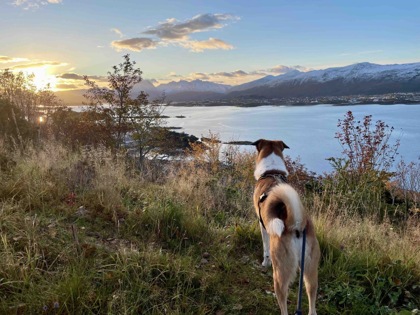 OttoÜberblick